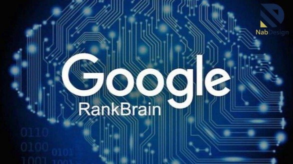 الگوریتم رنک برین گوگل