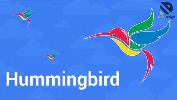 الگوریتم مرغ مگس خوار گوگل